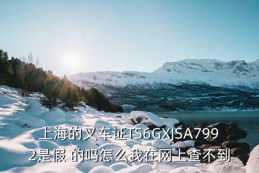 上海的叉車證TS6GXJSA7992是假 的嗎怎么我在網上查不到