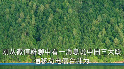 廣州全國試藥招募微信群，剛從微信群聊中看一消息說中國三大聯通移動電信合并為