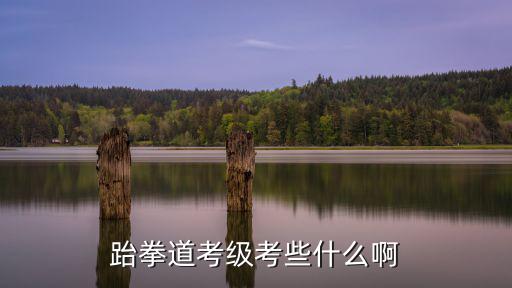 跆拳道考級考些什么啊