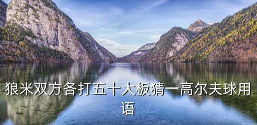 高爾夫術語大全，狼米雙方各打五十大板猜一高爾夫球用語
