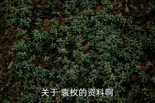 袁枚簡介,隨緣先生袁枚簡介