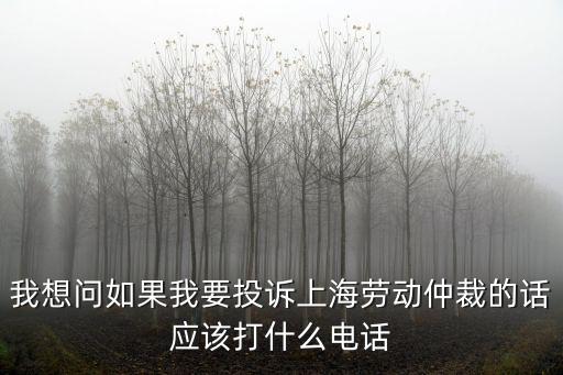 上海市勞動仲裁電話是多少號碼，上海勞動局電話