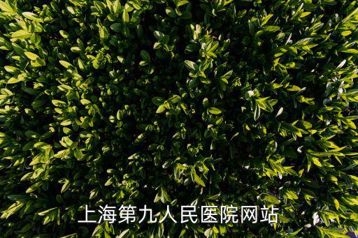 上海第九人民醫院網站