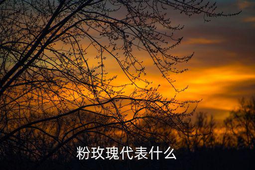 粉玫瑰代表什么