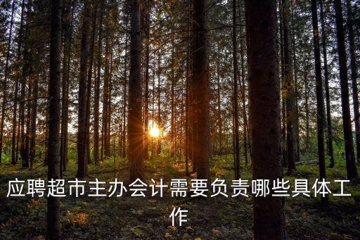 應聘超市主辦會計需要負責哪些具體工作