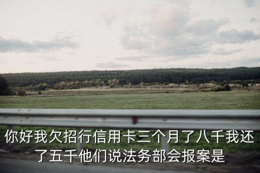 你好我欠招行信用卡三個月了八千我還了五千他們說法務部會報案是