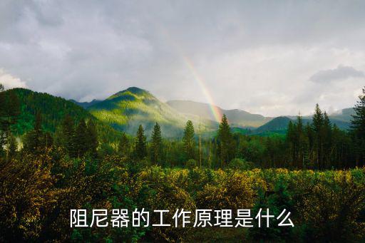 阻尼器的工作原理是什么