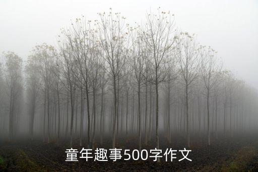 童年趣事500字作文