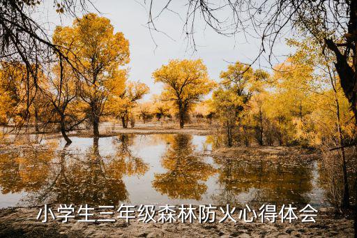 小學生三年級森林防火心得體會