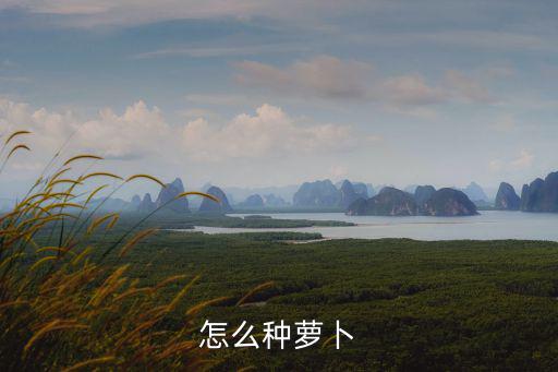 怎么種蘿卜