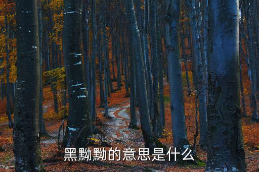 烏黑的意思,黑黝黝的意思是什么?