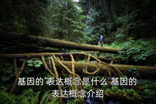  基因的 表達概念是什么 基因的 表達概念介紹