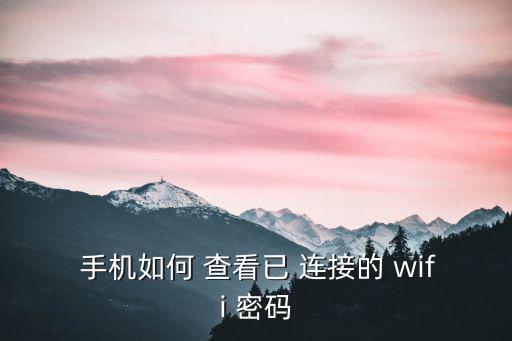  手機如何 查看已 連接的 wifi 密碼