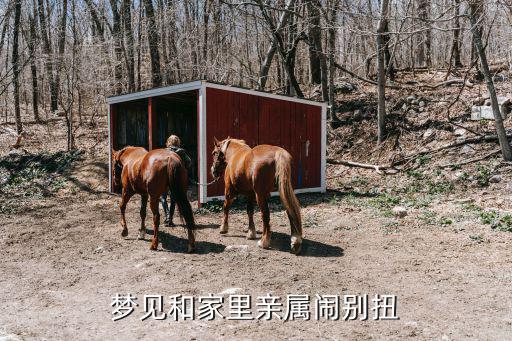 夢見和家里親屬鬧別扭