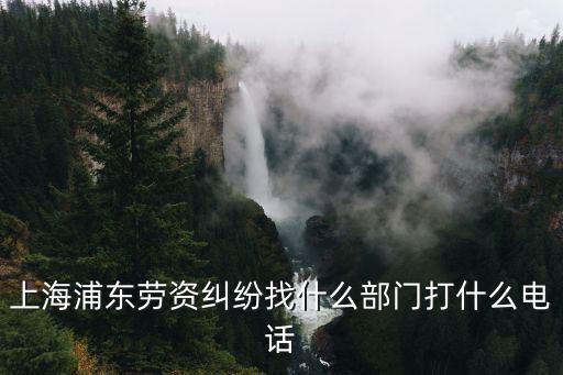 上海浦東勞資糾紛找什么部門打什么電話