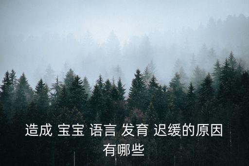 造成 寶寶 語(yǔ)言 發(fā)育 遲緩的原因有哪些
