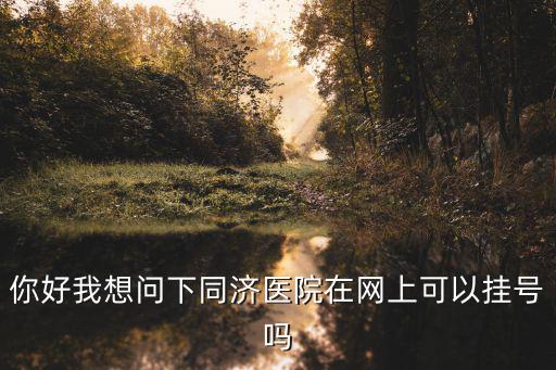 你好我想問(wèn)下同濟(jì)醫(yī)院在網(wǎng)上可以掛號(hào)嗎