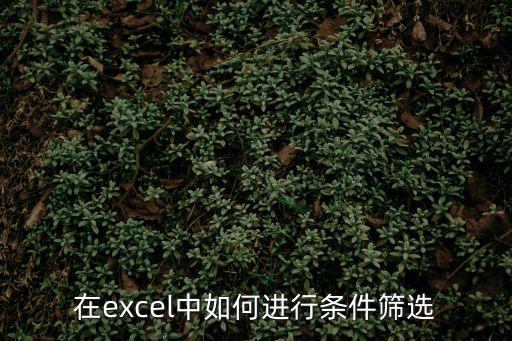 在excel中如何進行條件篩選