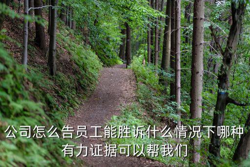 公司怎么告員工能勝訴什么情況下哪種有力證據可以幫我們