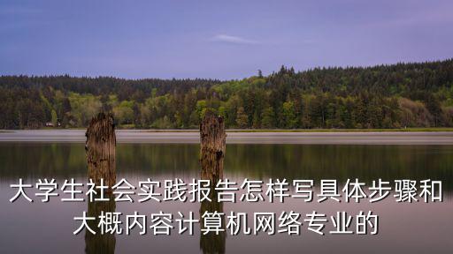 大學生社會實踐報告怎樣寫具體步驟和大概內容計算機網絡專業的