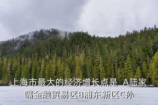 上海市最大的經濟增長點是  A陸家嘴金融貿易區B浦東新區C孫