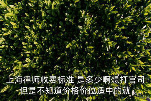 上海律師收費(fèi)標(biāo)準(zhǔn) 是多少啊想打官司但是不知道價(jià)格價(jià)位適中的就