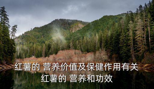 紅薯營養,紅薯怎么吃才能吃出來?