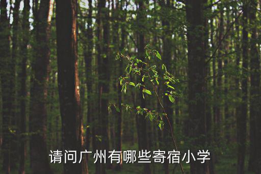 請問廣州有哪些寄宿小學