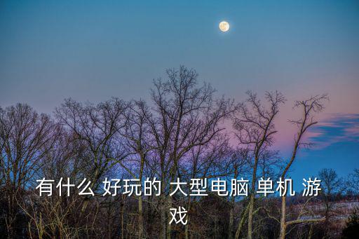 有什么 好玩的 大型電腦 單機 游戲
