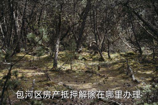 包河區房產抵押解除在哪里辦理