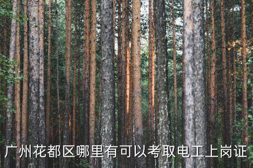 廣州花都區哪里有可以考取電工上崗證