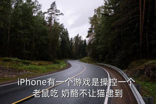 iPhone有一個游戲是操控一個 老鼠吃 奶酪不讓貓逮到