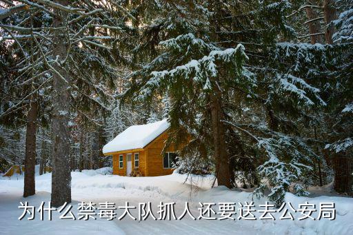 為什么禁毒大隊抓人還要送去公安局