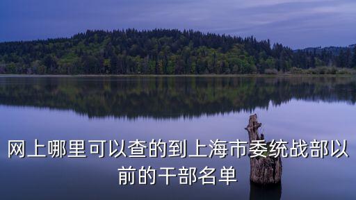 網上哪里可以查的到上海市委統戰部以前的干部名單