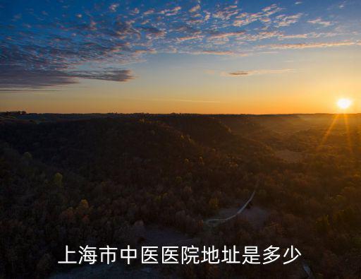 上海市中醫(yī)醫(yī)院地址是多少