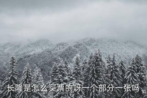 長(zhǎng)隆是怎么買(mǎi)票的呀一個(gè)部分一張嗎