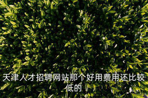 天津人才招聘網(wǎng)站那個好用費用還比較低的