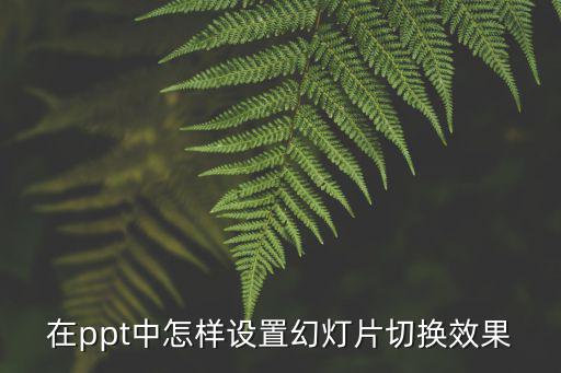 在ppt中怎樣設(shè)置幻燈片切換效果