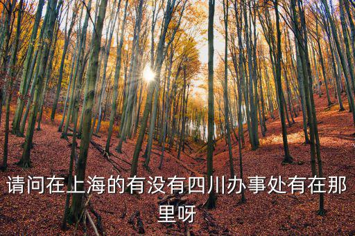 宜賓在上海市有沒有辦事處，請問在上海的有沒有四川辦事處有在那里呀