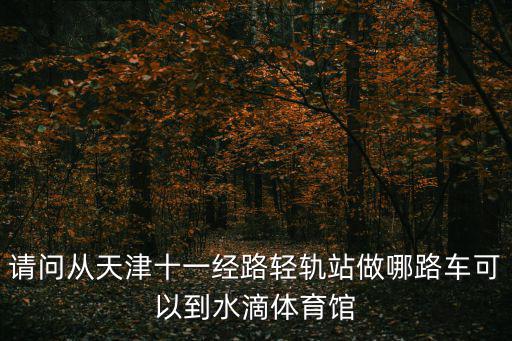 請問從天津十一經路輕軌站做哪路車可以到水滴體育館