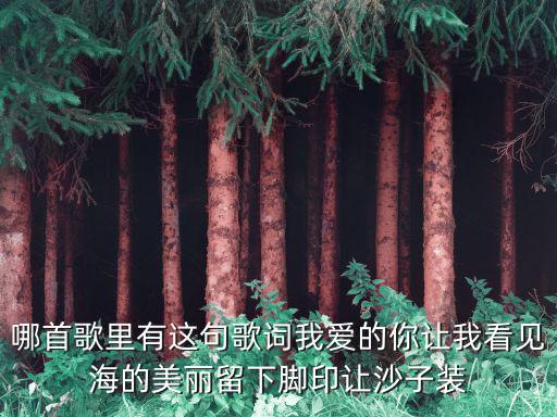哪首歌里有這句歌詞我愛的你讓我看見海的美麗留下腳印讓沙子裝