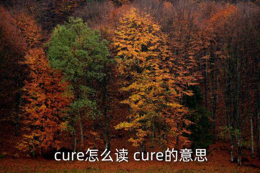 cure,病人正在愈合cure:癌癥無藥可治