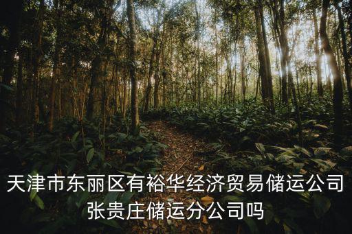 天津市東麗區有裕華經濟貿易儲運公司張貴莊儲運分公司嗎