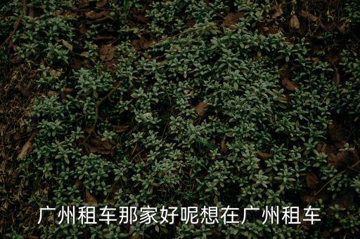 廣州租車那家好呢想在廣州租車