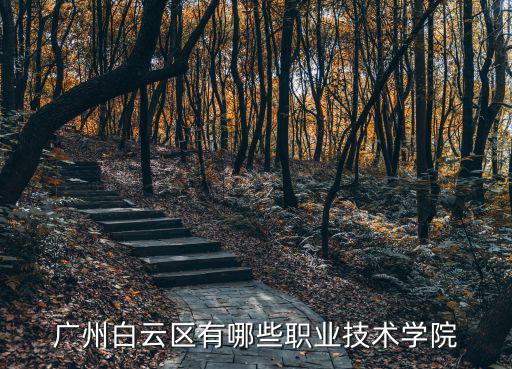 廣州白云區有哪些職業技術學院