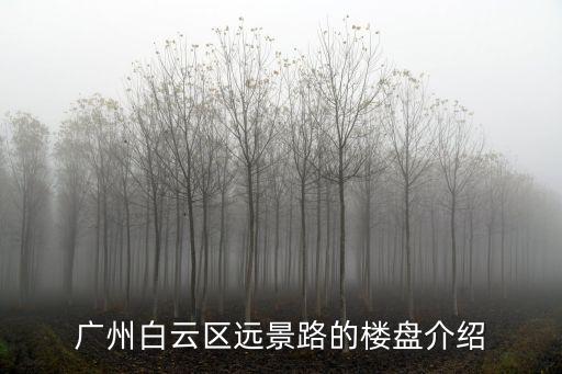廣州白云區(qū)遠景路的樓盤介紹