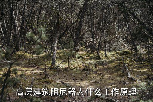 高層建筑阻尼器人什么工作原理