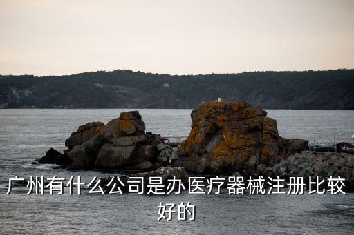 廣州有什么公司是辦醫療器械注冊比較好的