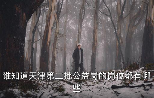誰知道天津第二批公益崗的崗位都有哪些