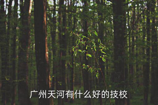 廣州的天河區(qū)技校，廣州天河區(qū)有什么職業(yè)技校